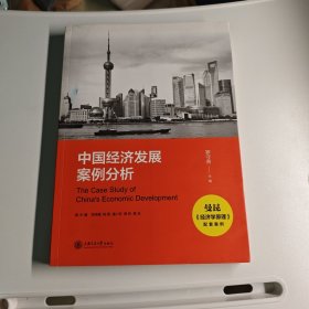 中国经济发展案例分析