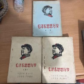 毛泽东思想胜利万岁 油印本（第一册上下+第二册）三册合售