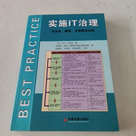 实施IT治理：方法论、模型、全球最佳实践