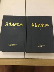 草书大字典（上下）