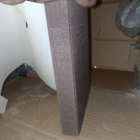 潘天寿研究. (精装)