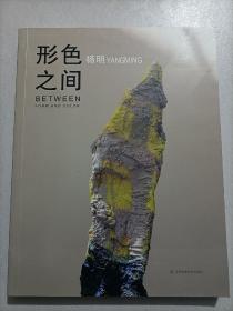 形色之间 杨明 雕塑作品集 雕塑技法 技艺术