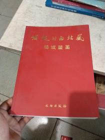 崛起的西北风：杨斌塑画