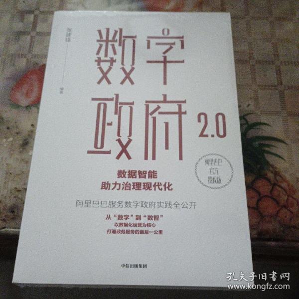 数字政府2.0：数据智能助力治理现代化