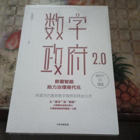 数字政府2.0：数据智能助力治理现代化