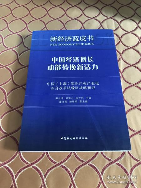 中国经济增长动能转换新活力：中国（上海）知识产权产业化综合改革试验区战略研究