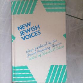 NEW JEWISH VOICES
新犹太之声