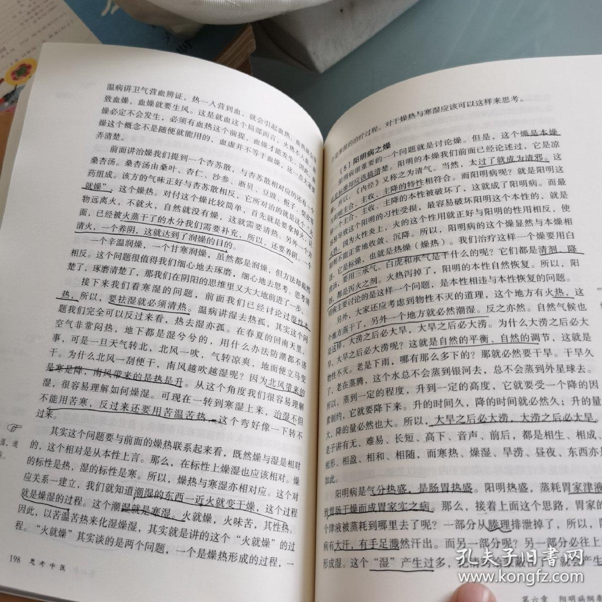 思考中医：对自然与生命的时间解读