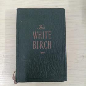 WHITE  BIRCH