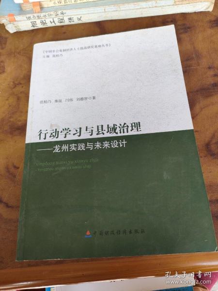 行动学习与县域治理：龙州实践与未来设计