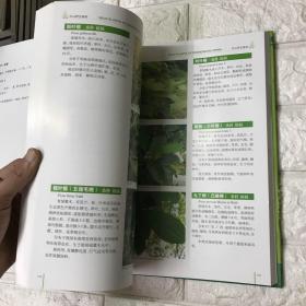 中山野生植物。