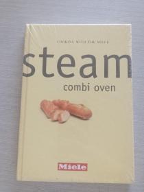 Steam combi oven