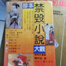 珍本禁毁小说大观