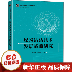 煤炭清洁技术发展战略研究