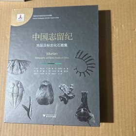 中国志留纪地层及标志化石图集