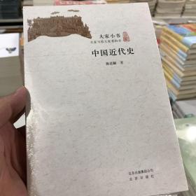 大家小书 中国近代史
