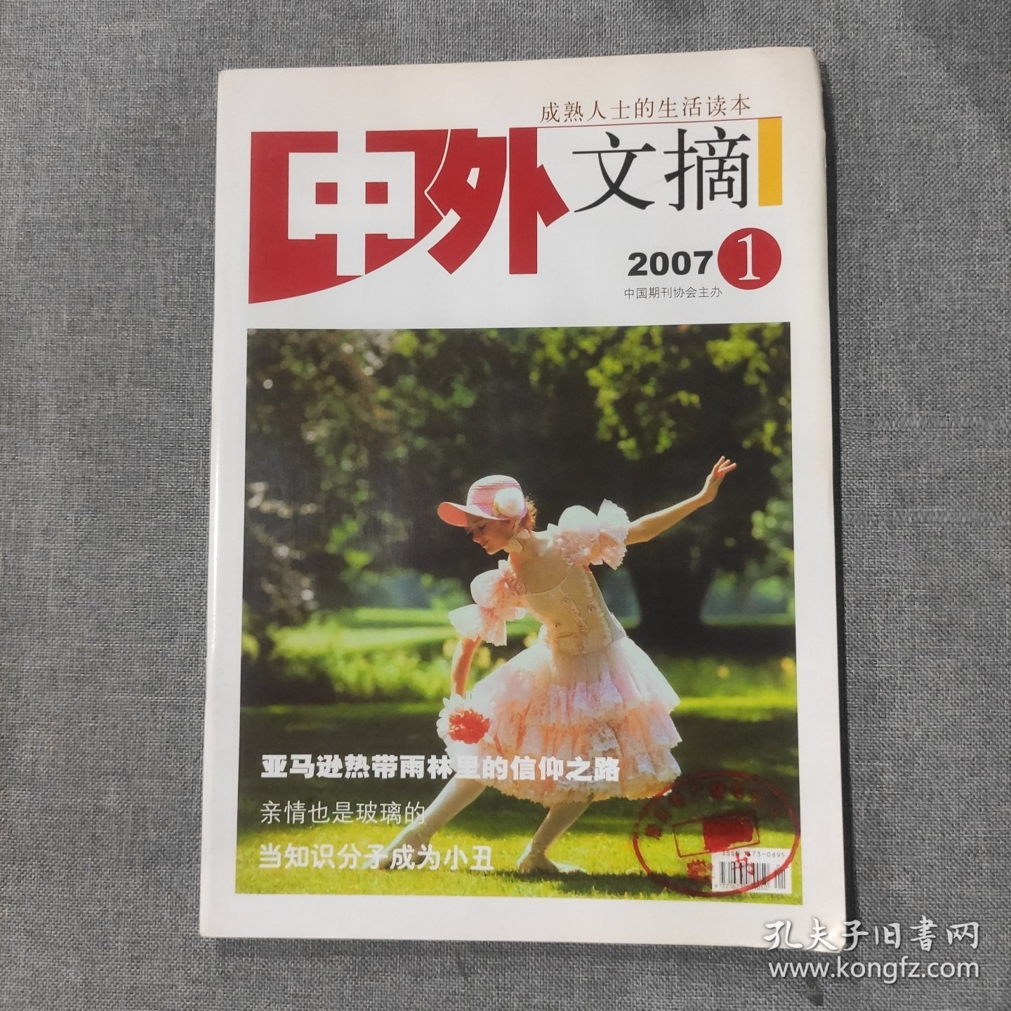 中外文摘2007 1 杂志期刊