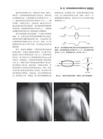 新华正版 肌肉骨骼系统磁共振成像（中文翻译版，原书第6版） （美）托马斯·H.伯奎斯特（Thomas H.Berquist） 9787030627582 科学出版社