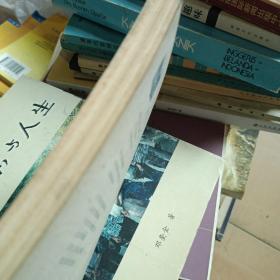 文学中的爱情问题