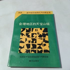 西昌----會理地區(qū)的天寶山組
