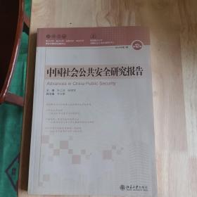 中国社会公共安全研究报告(第12辑) 
