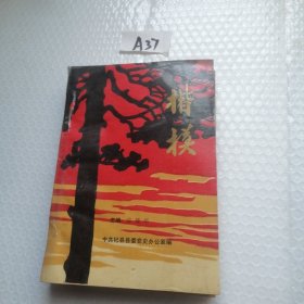 楷模