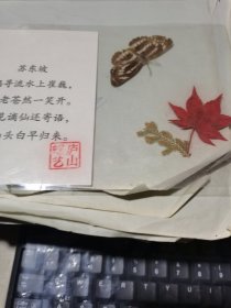蝴蝶枫叶标本【附苏东坡诗】