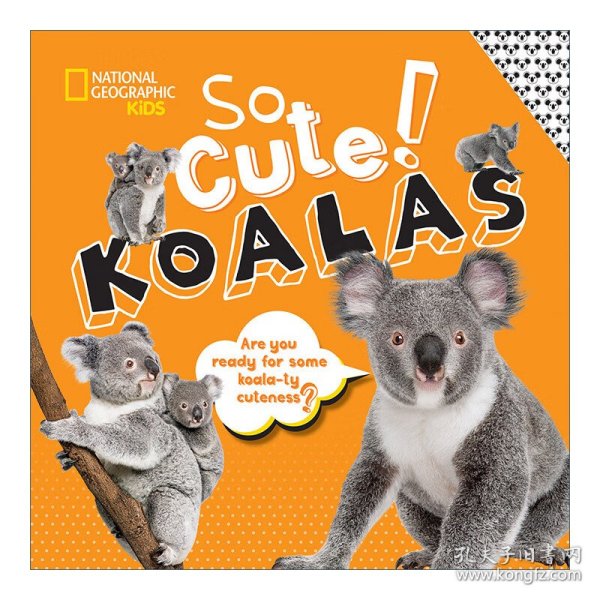 So Cute! Koalas (Cool/Cute) 太可爱了！考拉 美国国家地理系列 儿童启蒙认知科普绘本 精装 Crispin Boyer