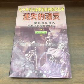 迷失的魂灵--湖北荆沙特大抢劫团伙案侦破纪实