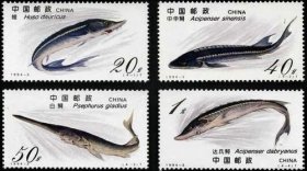 1994-3邮票-鲟【全套4枚·全新原胶】