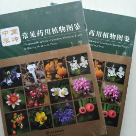 中国秦岭常见药用植物图鉴（上下两册全）