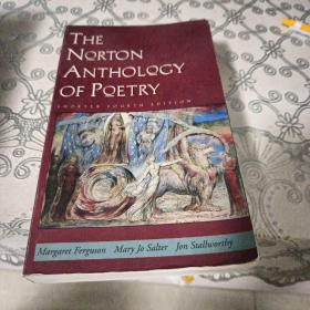 The norton anthology of poetry （诺顿诗集）