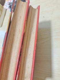 世界体坛上的中国冠军 上下册全 (大32开精装带书衣88年1版1印印1663册)