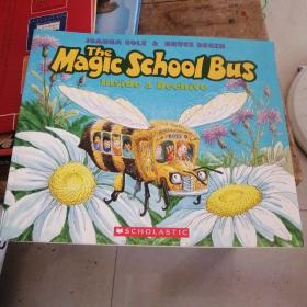 The Magic School Bus: Inside a Beehive  神奇校车系列：奇妙的蜂巢 英文原版