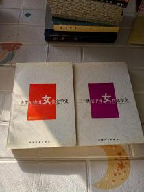二十世纪中国女性文学史 上下