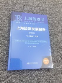 上海蓝皮书：上海经济发展报告（2024）“五大新城”发展