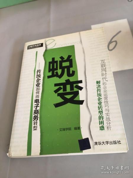 蜕变：传统企业如何向电子商务转型