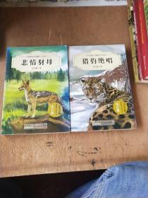 中外动物小说精品（升级版）：悲情豺母