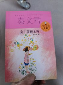 贾里贾梅大系：女生贾梅全传