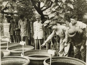 建国初期军人参观酱厂老照片