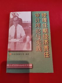 经理任期经济责任审计理论与实践