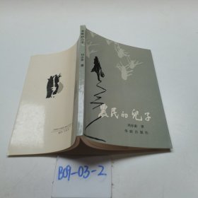 农民的儿子