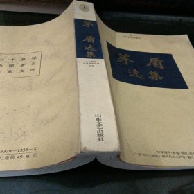 二十世纪中国著名作家文库: 矛盾选集
