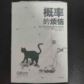 概率的烦恼：量子贝叶斯拯救薛定谔的猫