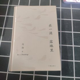 在一滴露珠里