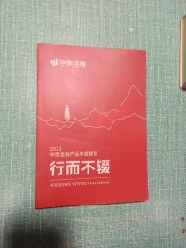 2023
中国金融产品年度报告（华宝证券）