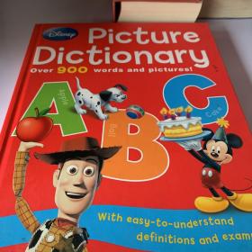 Picture Dictionary over 900 words and pictures