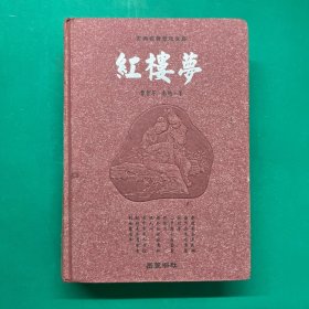 红楼梦：古典名著普及文库