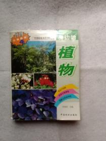 身边的植物：中国国家地理博物丛书