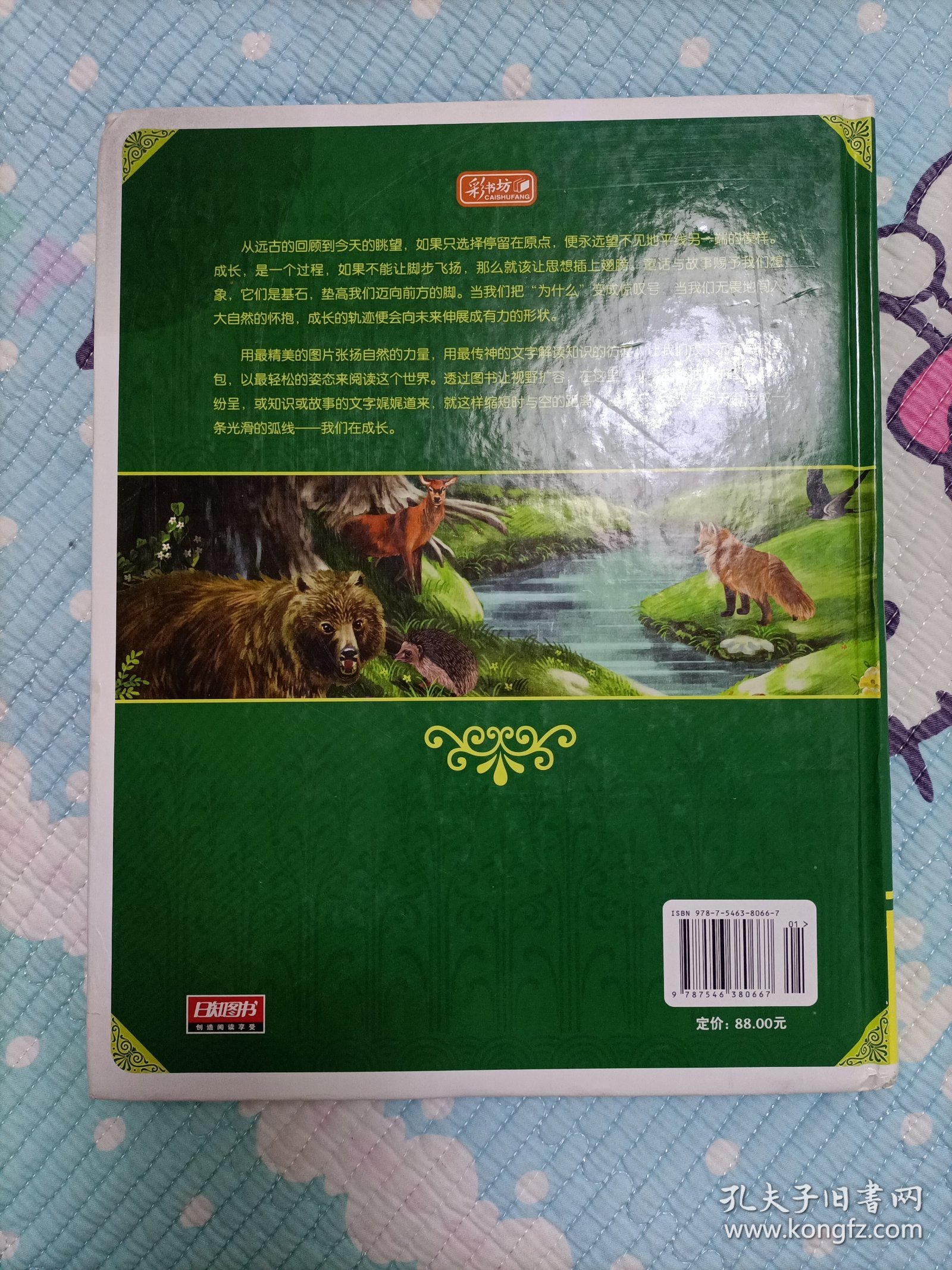 彩书坊·晚安经典:森林报